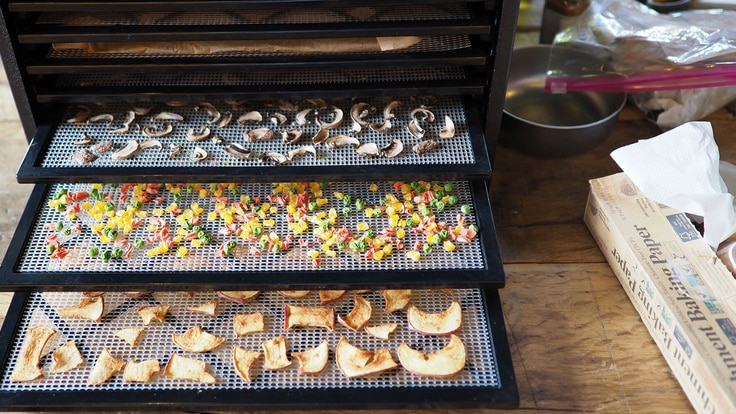 A dehydrator with multiple shelves and dehydrated food lining the shelves