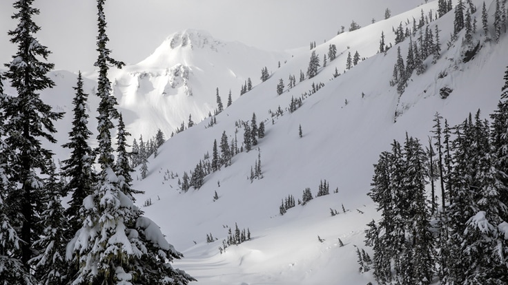 Snow covered slopes in the backcountry