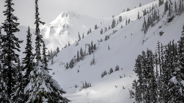 Avalanche safety basics, Ultimate Beginners Guide