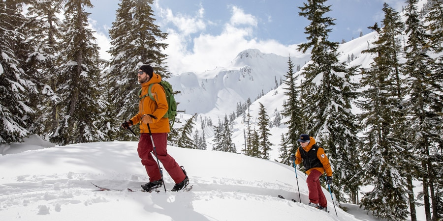Backcountry skiing deals
