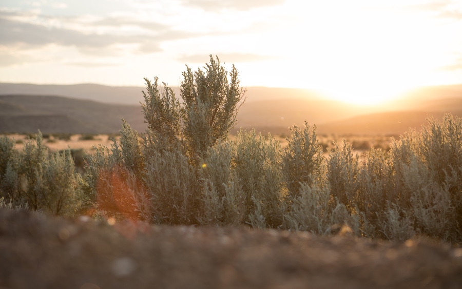 Tips for Taking Beautiful Summertime Landscape Photos