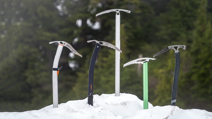Five ice axes standing up in the snow with trees in the background