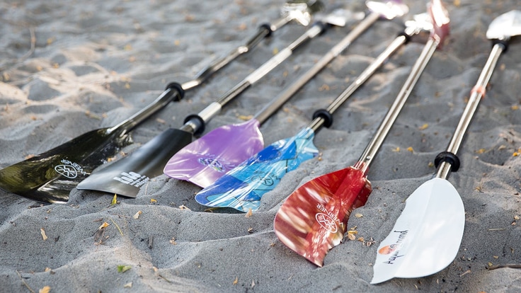 Six kayak paddles laying in the sand.