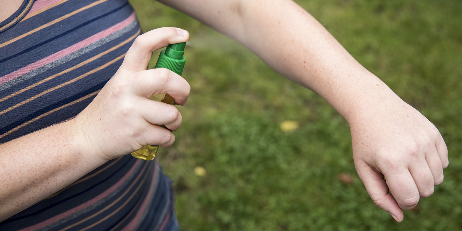 Plant-based insect repellents