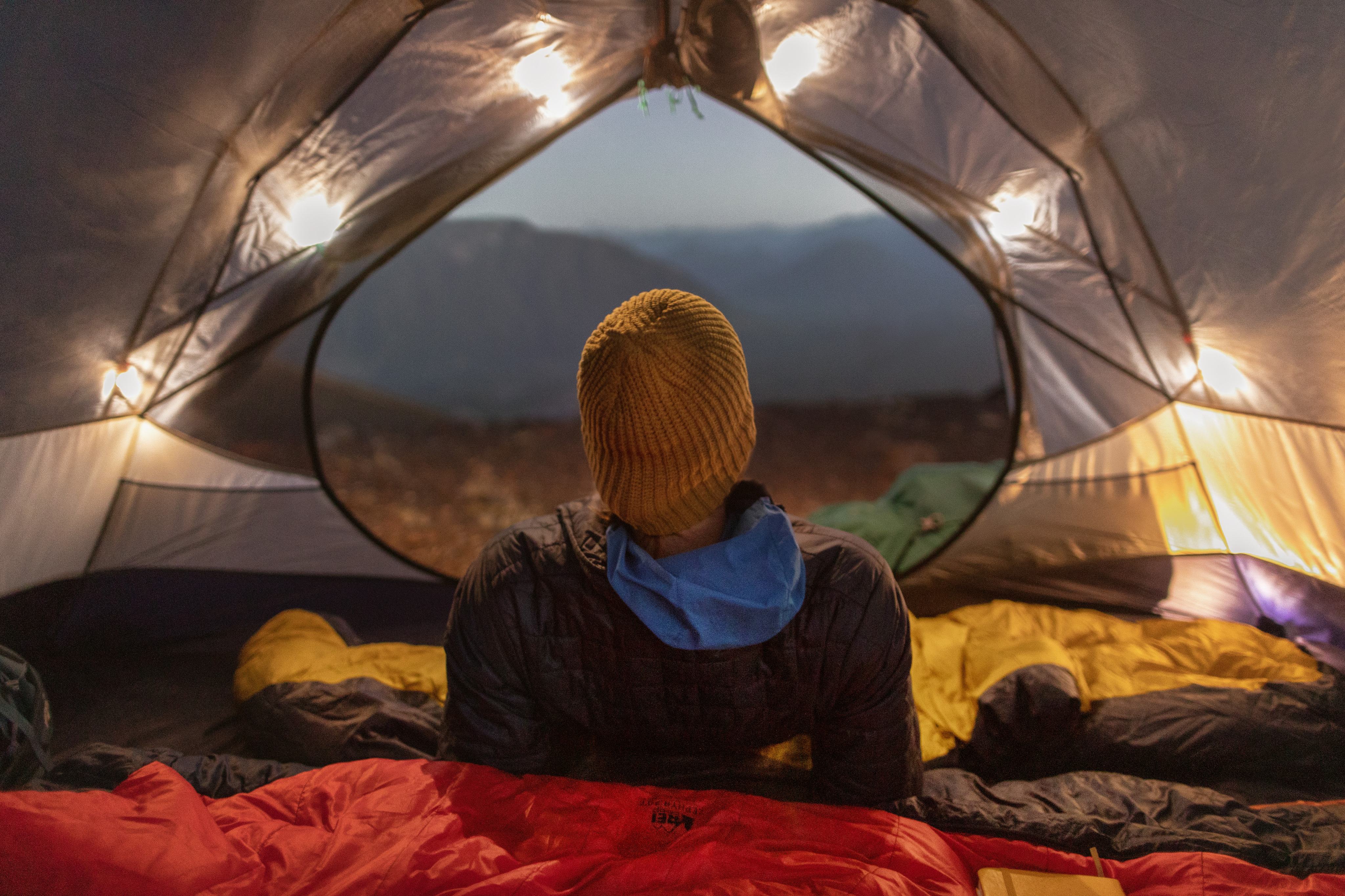 NEMO Disco 30 Endless Promise Down Sleeping Bag - Men's