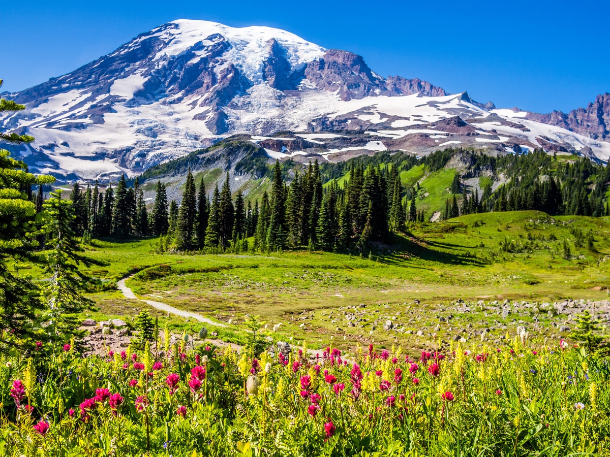 Washington Hiking Mount Rainier Olympic National Park Lodge Based