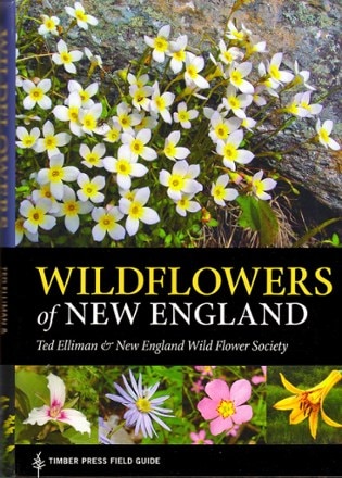 Timber Press Wildflowers of New England 0