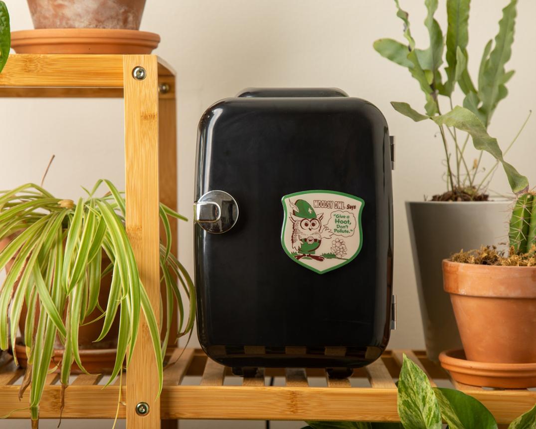 Location Image for Woodsy Says Magnet