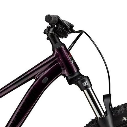 Rocky Mountain Growler Jr 26 Kids' Mountain Bike 4