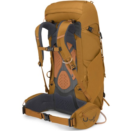 Osprey Kyte 38 Pack - Women's 2