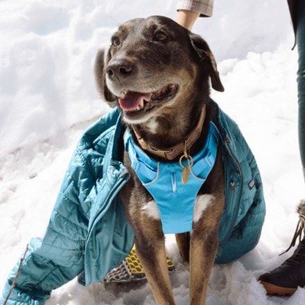 Ruffwear Front Range Dog Harness 8