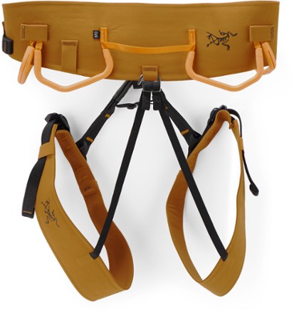 Arc'teryx AR-395a Harness - Men's 3