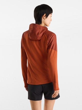 Arc'teryx Delta Hybrid Hoodie - Women's 2