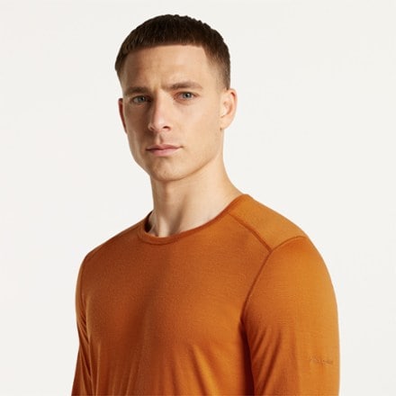 Icebreaker Merino 200 Oasis Long-Sleeve Crewe Thermal Top - Men's 1
