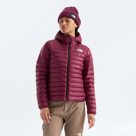 Terra Peak Insulated Hoodie - Women's