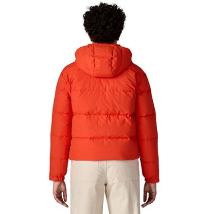 Patagonia Downdrift Jacket - Women's 2