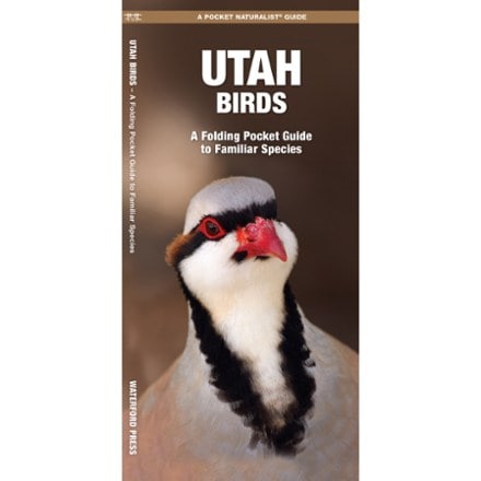 Waterford Press Utah Birds 0