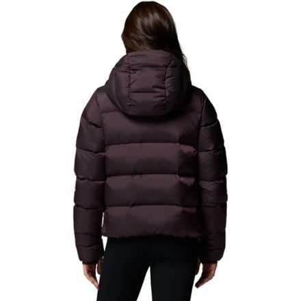 Columbia Amaze Puff Down Hooded Jacket - Women's 2