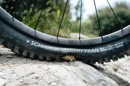 Schwalbe Schwalbe Albert Trail Pro Radial Tire 4
