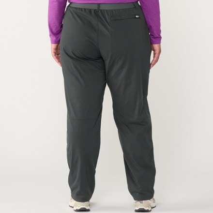 REI Co-op Sahara Lined Pants - Women's 4