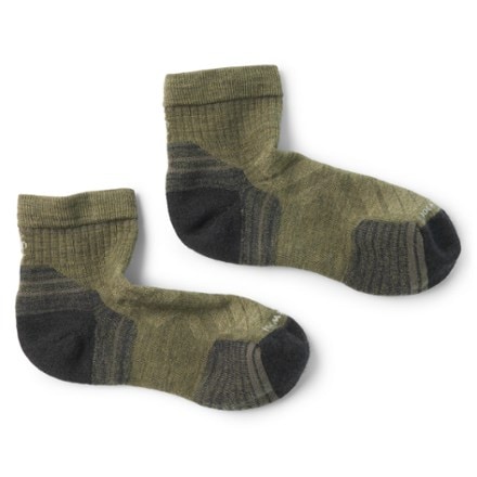 Smartwool Performance Hike Targeted Cushion Ankle Socks - Men's 1