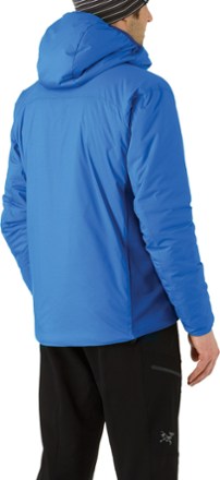 Back View (Echo Blue)