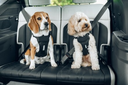 Thule Cappy Dog Harness - S 6