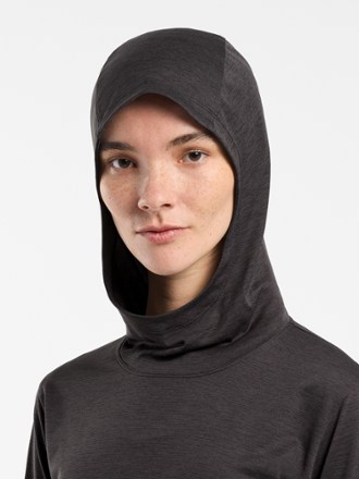 Arc'teryx Taema Hoodie - Women's 4