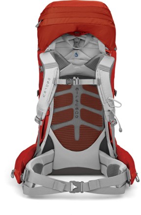 Back View (Vermillion Red)