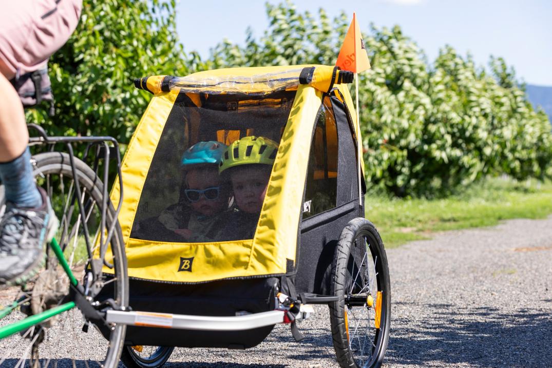 Location Image for Bee Bike Trailer - Double