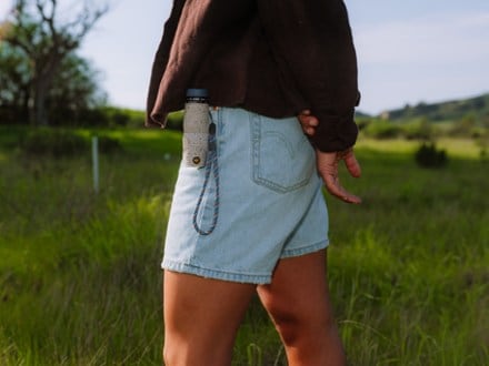 Location Image of color Piping Plover