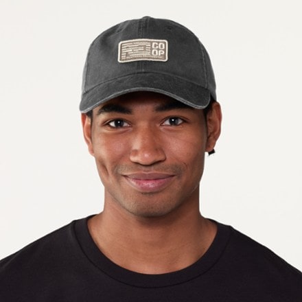 REI Co-op Everyday Graphic Cap 2
