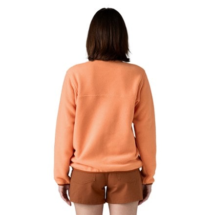 Patagonia Lightweight Synchilla Snap-T Fleece Pullover - Women's 2