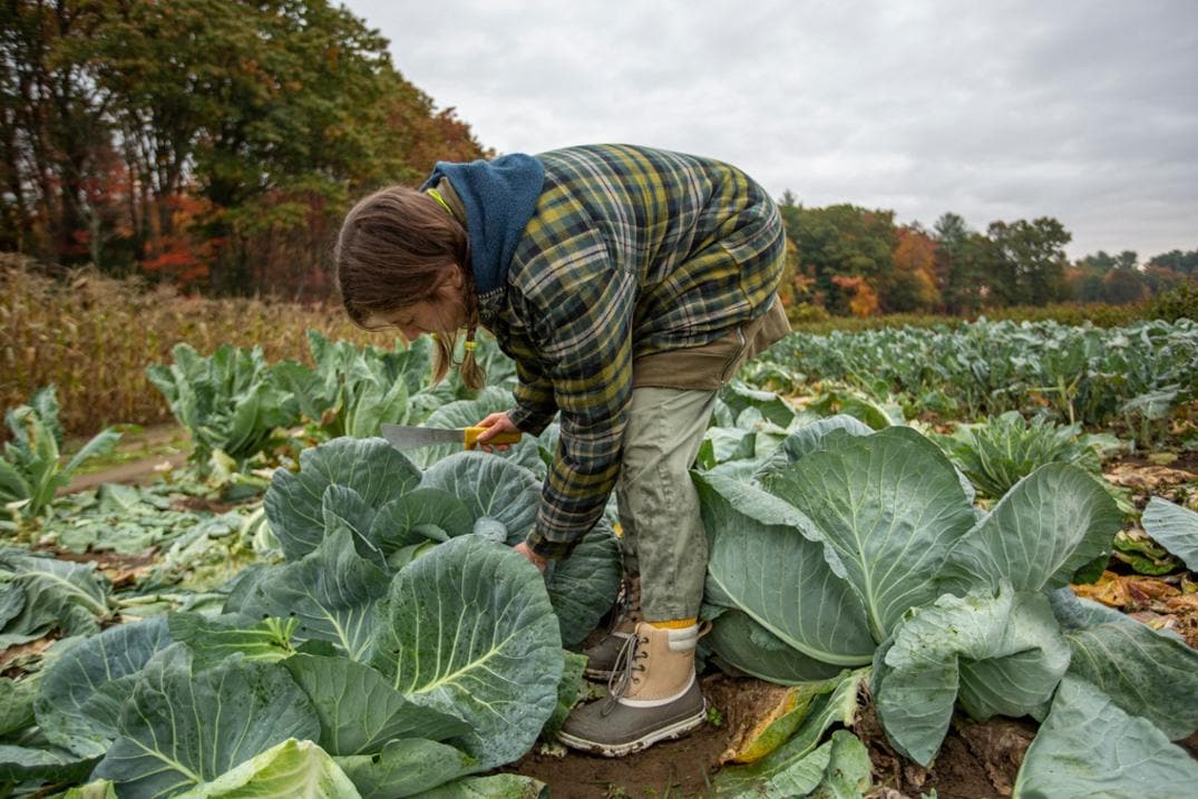 Location Image for Originals Leather Lace-Up Duck Boots - Women's