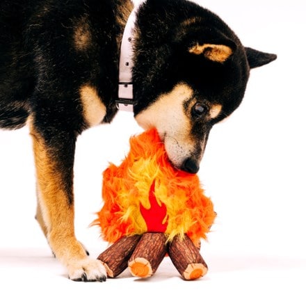 Play Pet Brands Camp Corbin Cozy Campfire Dog Toy 5