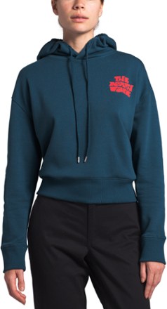 the north face crop hoodie