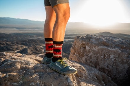 Darn Tough Van Grizzle Boot Cushion Socks - Men's 10