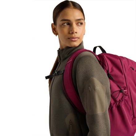 Arc'teryx Mantis 26 Pack 8