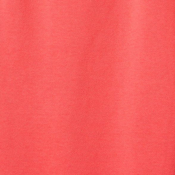 Swatch Image of color Bright Coral