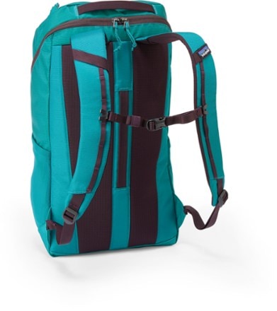 Patagonia Black Hole Pack - 25 L 3