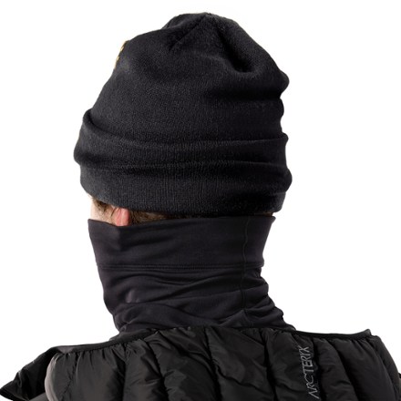 Arc'teryx Rho Neck Gaiter Long 2