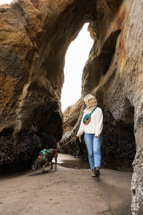 Location Image for Dog Walking Utility Pack