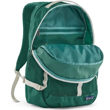 Patagonia Refugio 30L Pack 2
