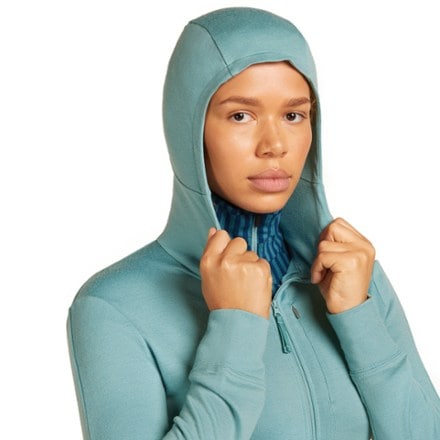 Icebreaker Merino 260 Quantum Long-Sleeve Zip Hoodie - Women's 4