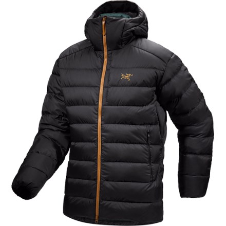 Arc'teryx Thorium AR Down Hoodie - Men's | REI Co-op