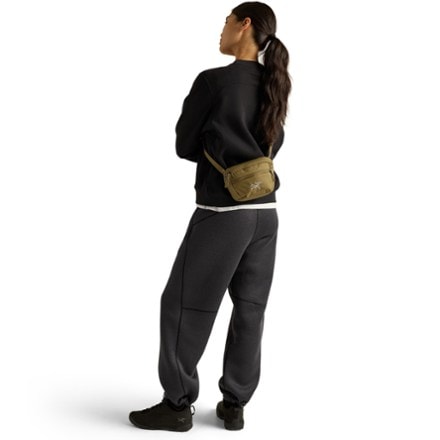 Arc'teryx Mantis 1 Waistpack 8
