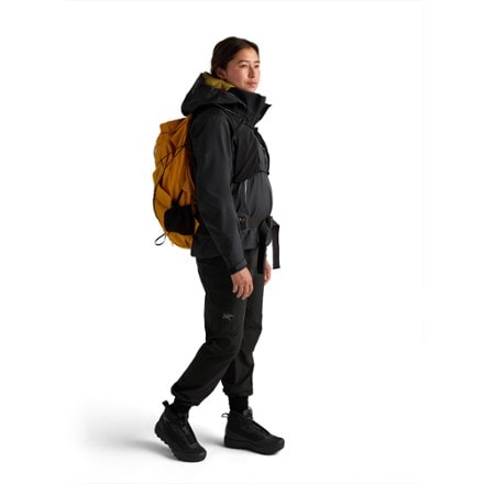 Arc'teryx Aerios 35 Pack 8