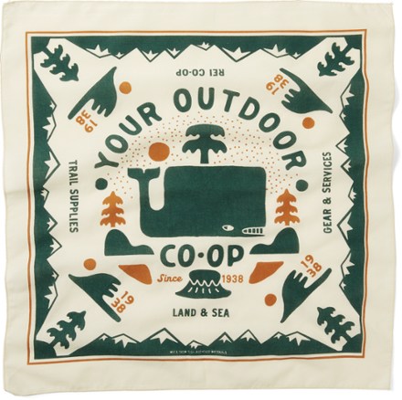 Product Image of color Landandsea/Stargazer Teal