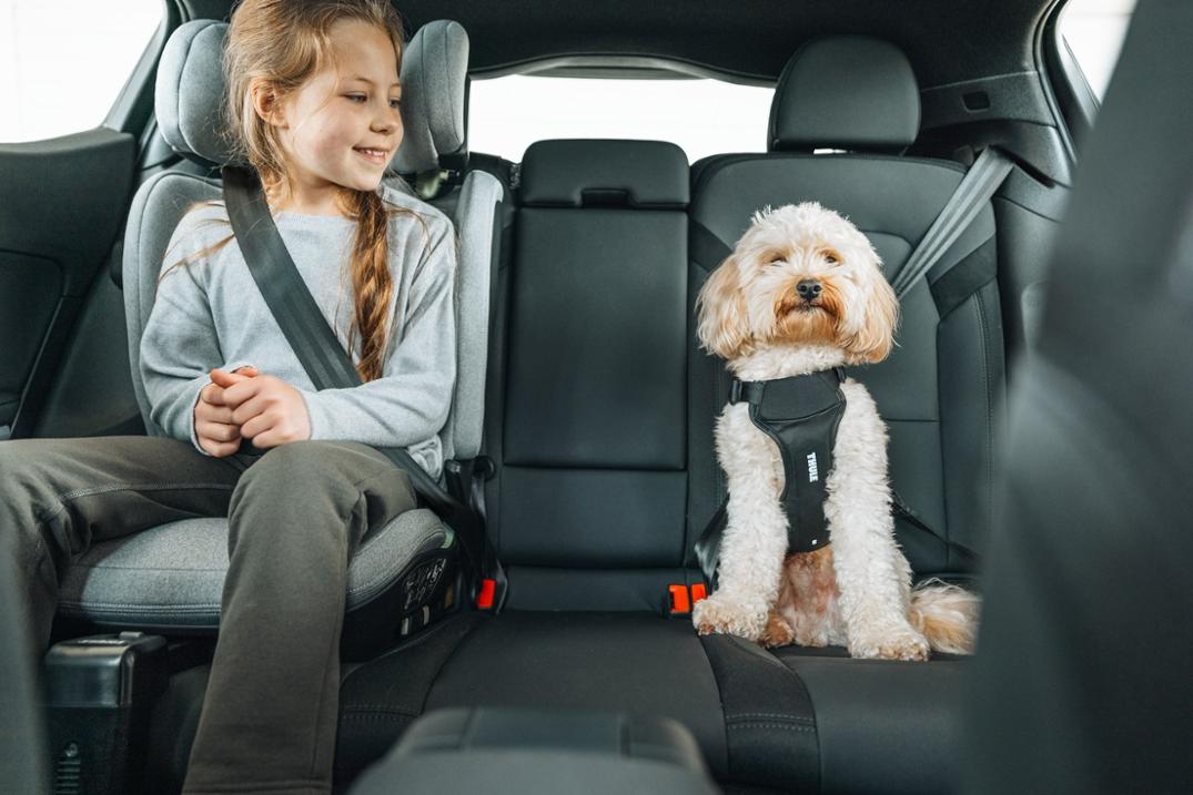 Location Image for Cappy Dog Harness - S