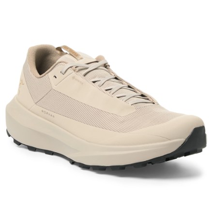 Arc'teryx Norvan LD 4 GTX Trail-Running Shoes - Men's 2